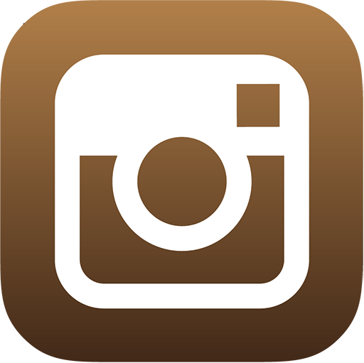 Instagram icon